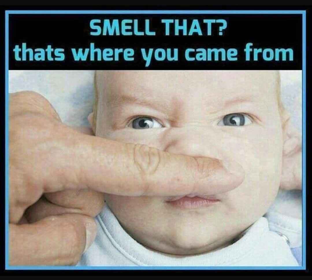smell.jpg