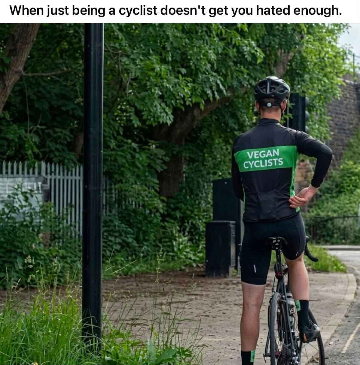 vegan.jpg