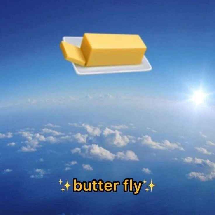butterfly.jpg