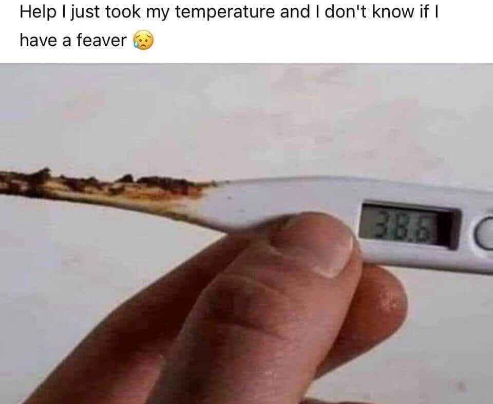 Q: What's the difference between an oral and a rectal thermometer?
