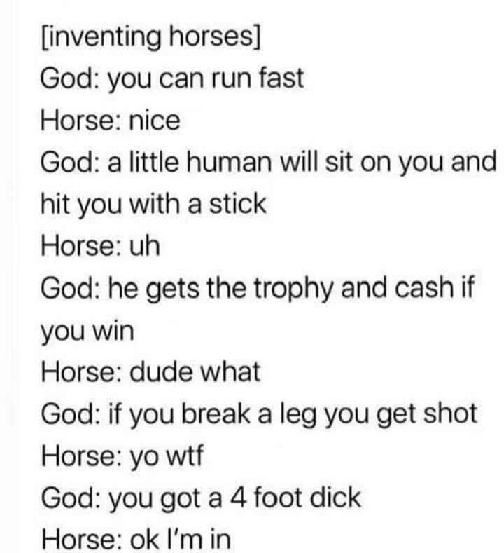horse.jpg