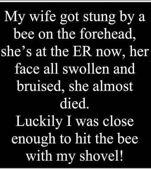 shovel.jpg