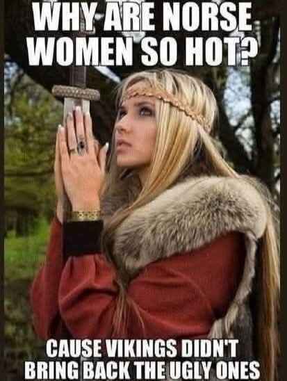 vikings.jpg