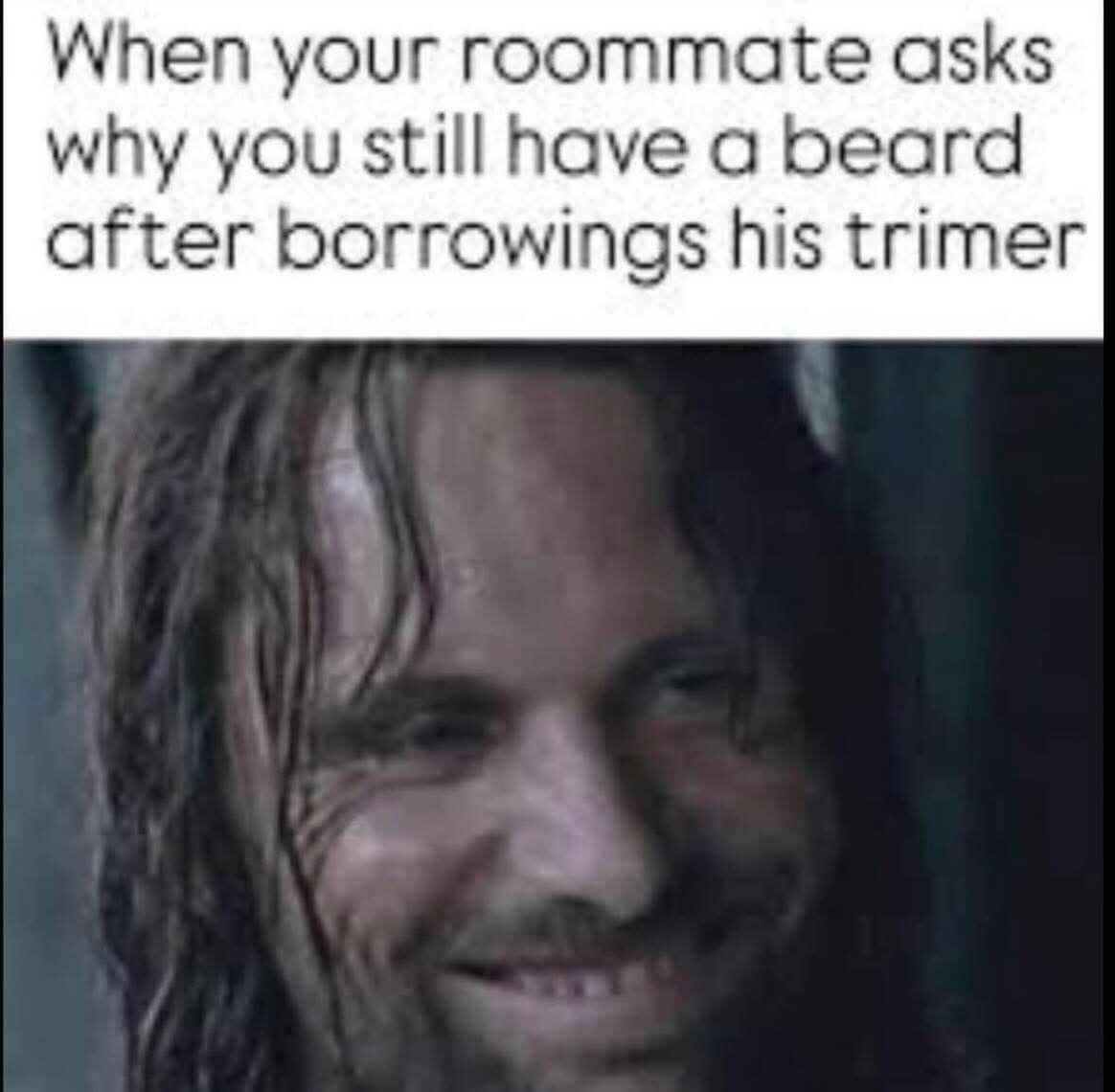 trimmer.jpg