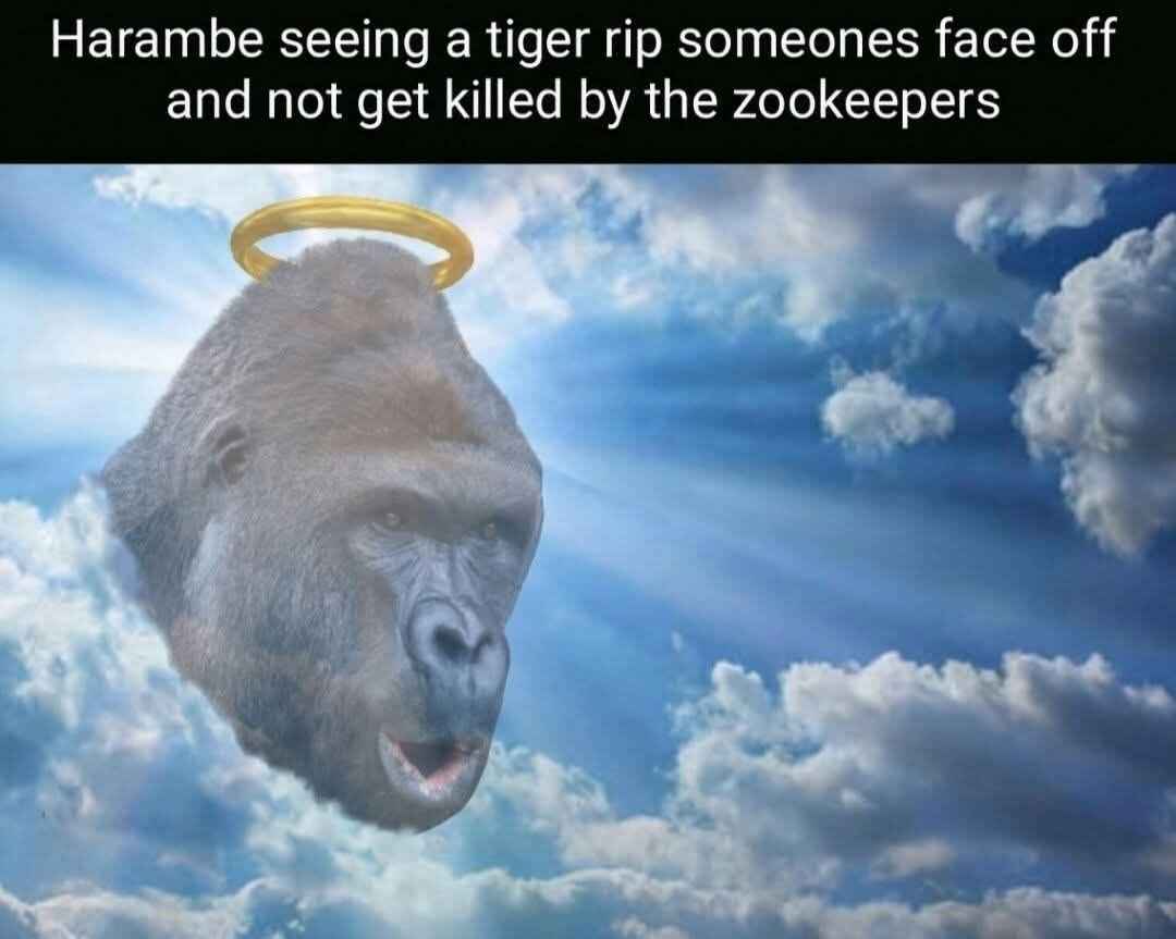 rip_harambe.jpg
