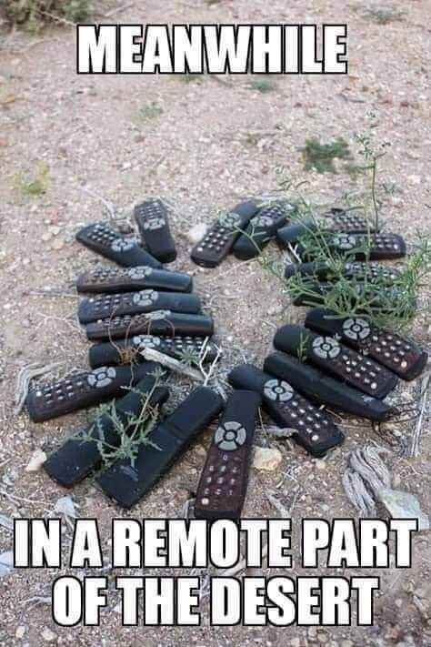 remote.jpg