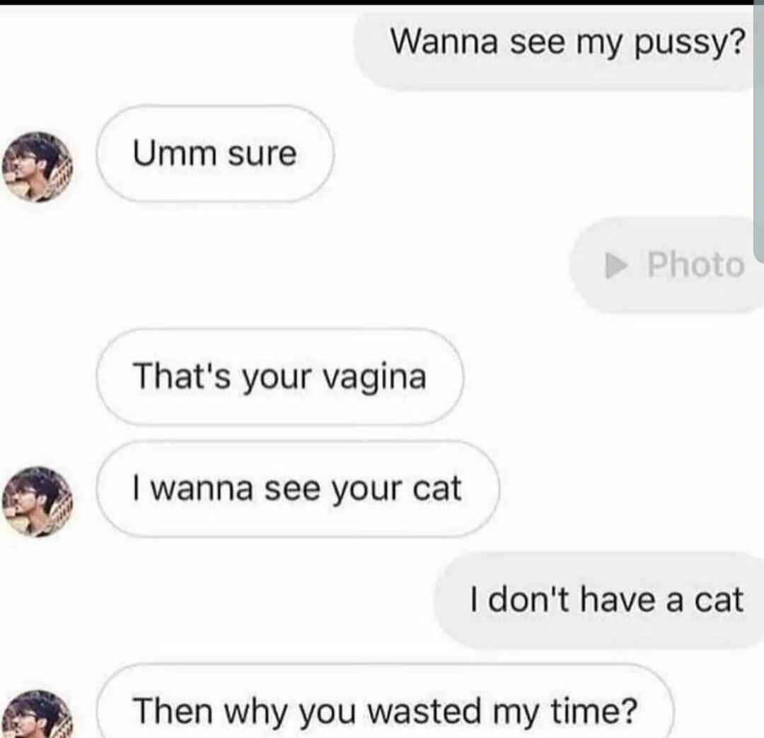 cat.jpg