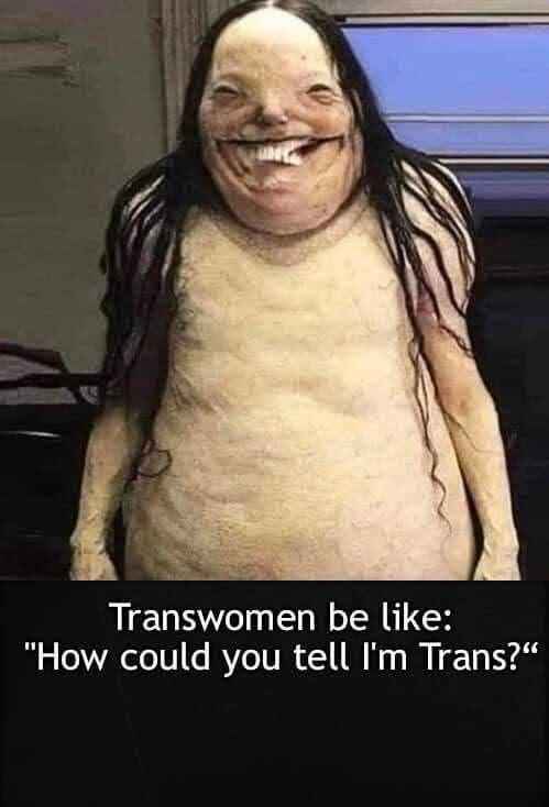 trans.jpg