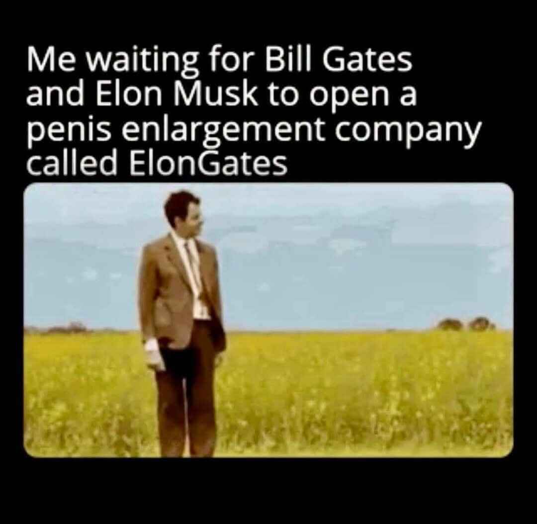 elongates.jpg