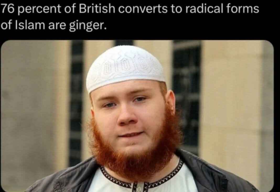 ginger.jpg