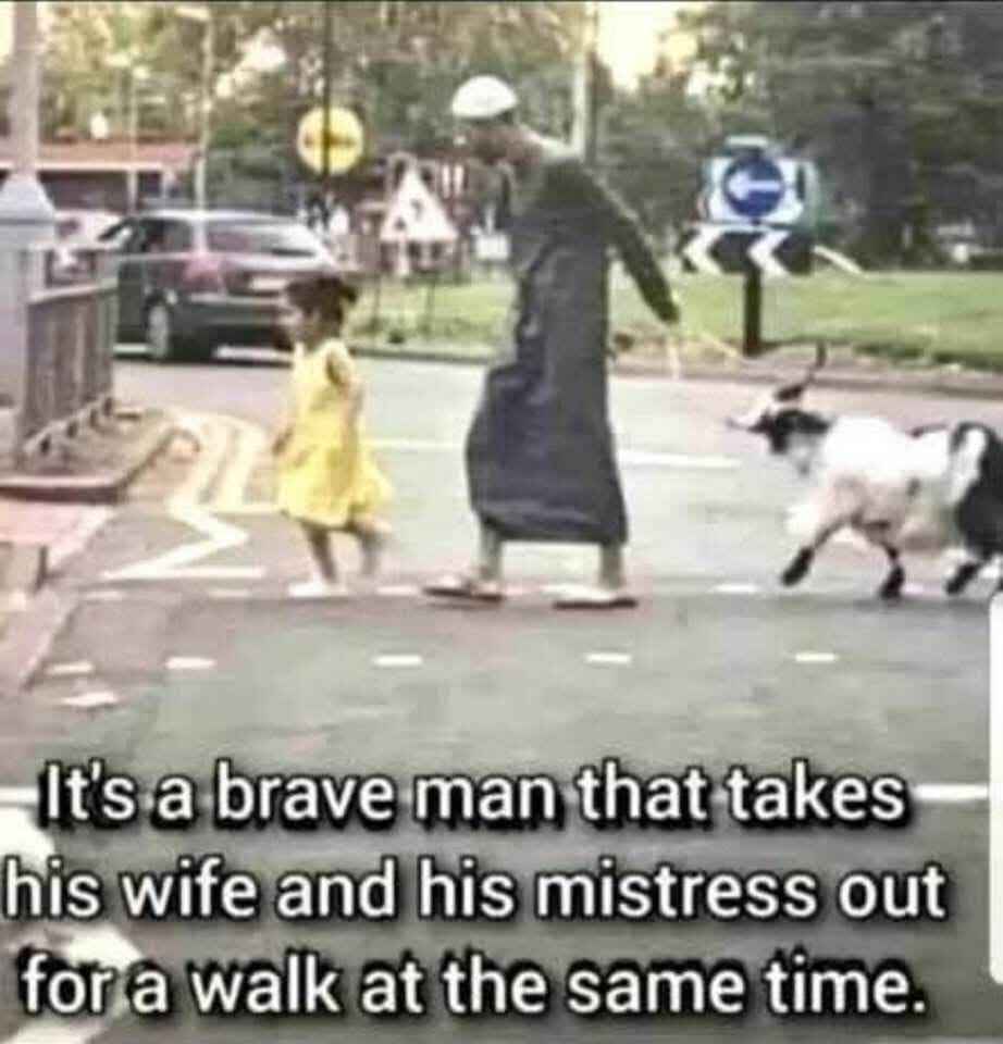 brave.jpg