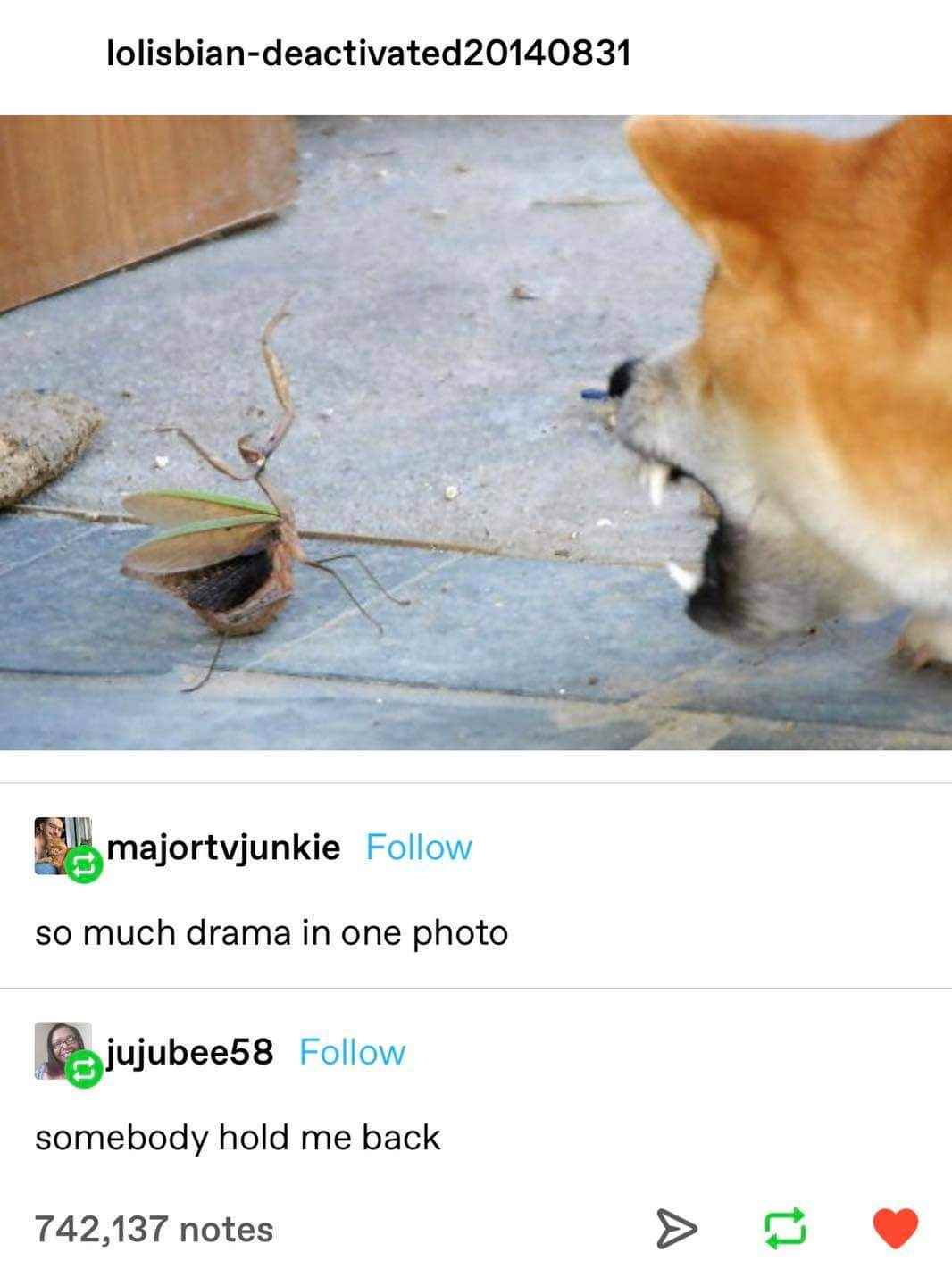 drama.jpg