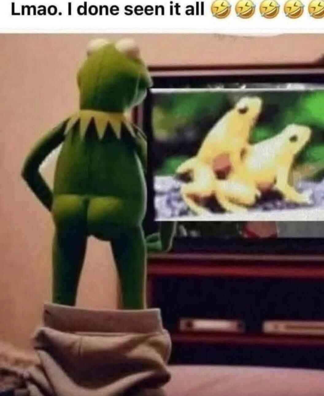 frogs.jpg