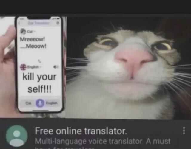 cats_are_evil.jpg