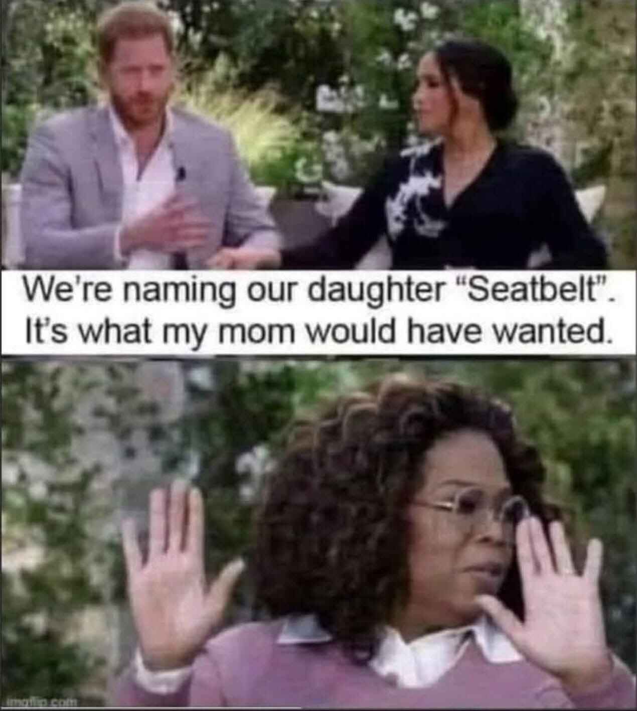 seatbelt.jpg